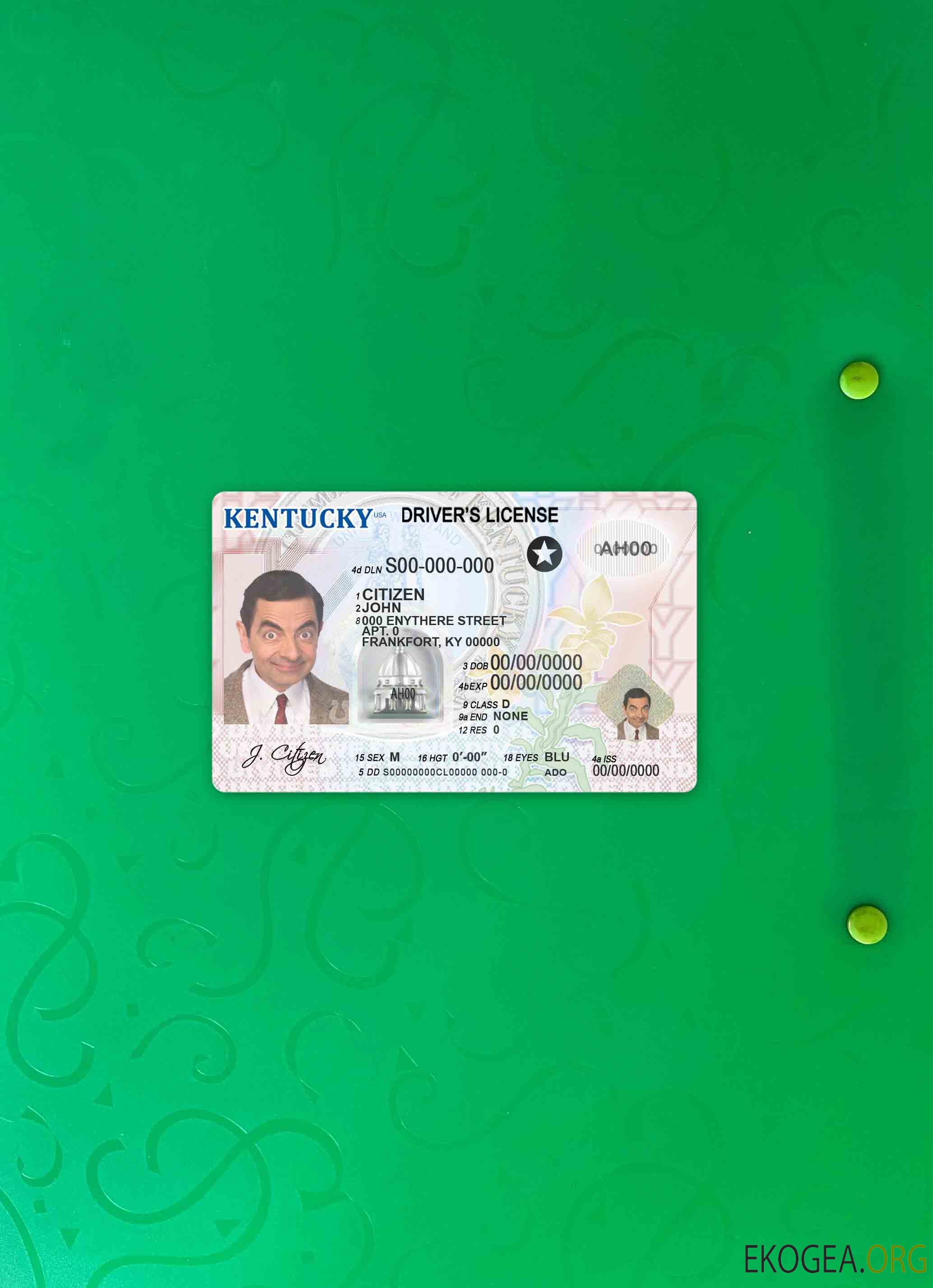 USA Kentucky DL photolook AVANT